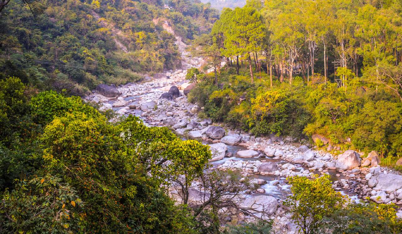 Main campus building surrounded by forest