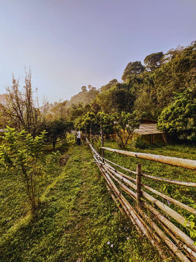 Learning in the campus permaculture greenhouse