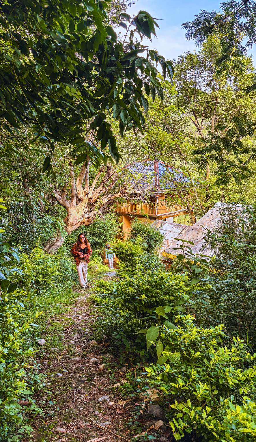 Sharat Arora teaching yoga